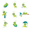 Cute Green Grasshopper Character Engaged in Different Activity Vector Set