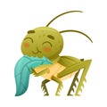 Cute green grasshopper eating green leaf. Funny baby insect mascot cartoon character vector illustration