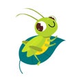 Cute green grasshopper sitting on leaf. Funny insect in its everyday activities cartoon vector illustration Royalty Free Stock Photo