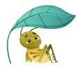 Cute green grasshopper sitting under green leaf. Funny baby insect mascot cartoon character vector illustration Royalty Free Stock Photo