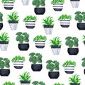 Cute green house plants in white and black pots seamless pattern. Watercolor. Royalty Free Stock Photo
