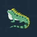 Cute green iguana with funny eyes. Isolated hand drawn animals. Adorable lizard logo vector illustration. Royalty Free Stock Photo