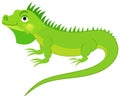 Cute green iguana isolated on white background. Flat vector Royalty Free Stock Photo