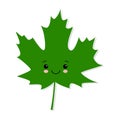 Cute Green maple leaf isolated on white background