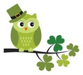 Cute Green Owl Wearing St. Patrick Hat Sitting on Shamrock Branch. Vector St. Patrick Owl Royalty Free Stock Photo