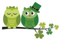Cute Green Owls Sitting on Shamrock Branch. Vector St. Patrick Owls