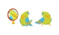 Cute Green Parrot Looking in the Mirror and Walking Vector Set