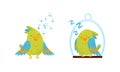 Cute Green Parrot Singing and Sleeping on Perch Vector Set