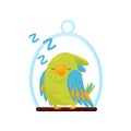 Cute green parrot sleeping on wooden perch. Bird with bright feathers. Adorable cartoon character. Flat vector icon Royalty Free Stock Photo