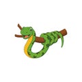 Cute green snake cartoon on branch Royalty Free Stock Photo