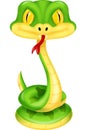 Cute green snake cartoon Royalty Free Stock Photo