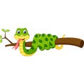 Cute green snake cartoon Royalty Free Stock Photo