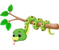 Cute green snake cartoon Royalty Free Stock Photo