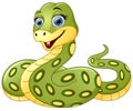 Cute green snake cartoon Royalty Free Stock Photo