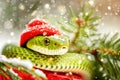 Cute green snake in a Santa hat against the background of a Christmas tree.