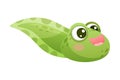 Cute Green Tadpole Cartoon Character Vector Illustration Royalty Free Stock Photo