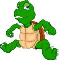 Cute green turtle cartoon Royalty Free Stock Photo