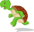 Cute green turtle cartoon Royalty Free Stock Photo