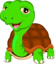 Cute green turtle cartoon Royalty Free Stock Photo