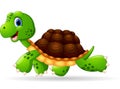 Cute green turtle cartoon Royalty Free Stock Photo
