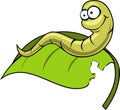 Cute green worm Royalty Free Stock Photo
