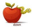 Cute Green Worm Creeping Down Red Apple as English Preposition Word Vector Illustration
