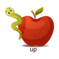 Cute Green Worm Creeping Up Red Apple as English Preposition Word Vector Illustration