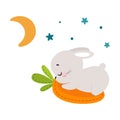 Cute Grey Bunny Character Sleeping on Carrot Pillow Vector Illustration