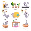 Cute Grey Cat Demonstrating Prepositions with Different Object Vector Set