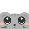 Cute grey cat face with copy space cartoon vector illustration on white background Royalty Free Stock Photo