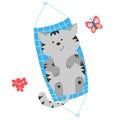 Cute grey cat lying in a hammock. Vector isolated elements.