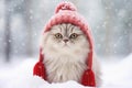 A cute grey cat in a red knitted hat sits in the snow. Snowy winter background. Concept of pets family members.