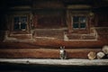 Cute grey cat sitting near old wooden house in Scandinavia, norw Royalty Free Stock Photo