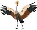 Cute Grey Crowned Crane vector