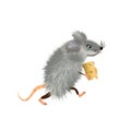 Cute grey downy cartoon mouse with a piece of cheese, mice cute wild or domestic animal, vector character. Rat furry rodent mascot Royalty Free Stock Photo