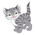 Grey kitten cartoon vector illustration