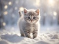 Cute grey kitten in snow forest, bokeh lights