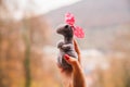 Cute grey mouse girl with a pink bow on her head Royalty Free Stock Photo