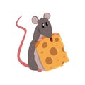 Cute grey mouse holding piece of cheese, funny rodent character vector Illustration on a white background Royalty Free Stock Photo