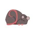 Cute grey mouse sleeping, funny rodent character vector Illustration on a white background