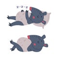 Cute Grey Tapir Animal with Proboscis Lying and Sleeping on Pillow Vector Se