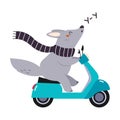 Cute Grey Wolf Character in Scarf Riding Motor Scooter or Motorcycle and Howling Vector Illustration