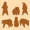 Cute Grizzly Bear in Simple Style