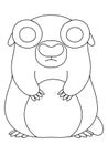Cute groundhog animal coloring page stock vector illustration Royalty Free Stock Photo
