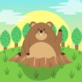 Cute Groundhog Cartoon Illustration, Happy Groundhog Day