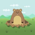 Cute Groundhog Cartoon Illustration, Happy Groundhog Day