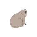 Cute groundhog vector illustration, wild animal living in the ground, funny positive furry marmot isolated on white