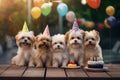 Cute group of fluffy dogs with party hats and birthday cake. Puppy dogs party. Royalty Free Stock Photo