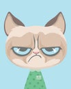 Cute Grumpy cat