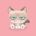 Cute grumpy cat.